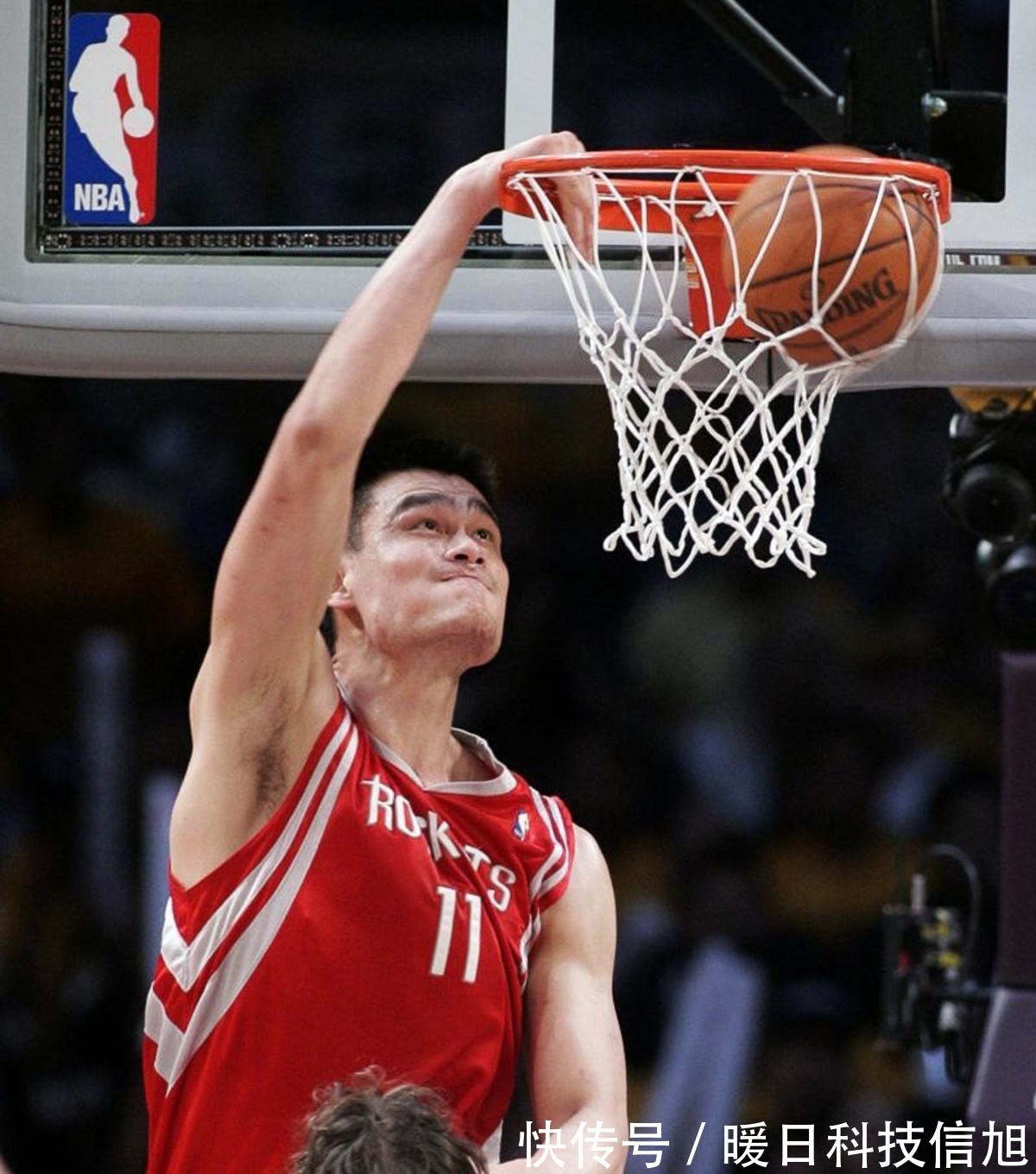 东莞泓华光电科技logo设计案例